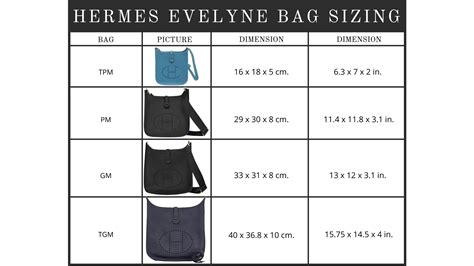 hermes evelyne size chart